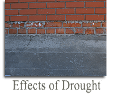 Effects of Drought